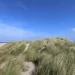 Duinen met helmgras op Ameland
