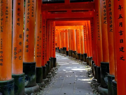 Rode torii-poorten bij Fushimi Inari in Kyoto, Japan