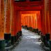 Rode torii-poorten bij Fushimi Inari in Kyoto, Japan