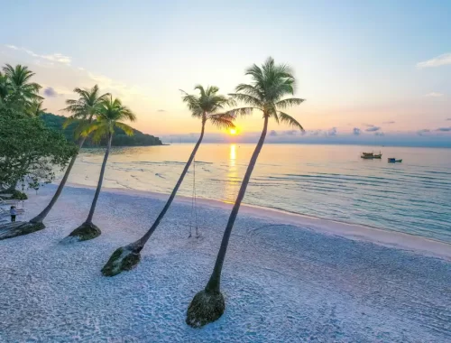 Palmbomen op het witte strand Bai Sao op Phu Quoc