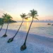 Palmbomen op het witte strand Bai Sao op Phu Quoc