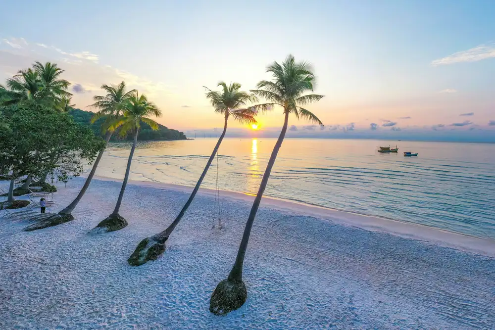 Palmbomen op het witte strand Bai Sao op Phu Quoc