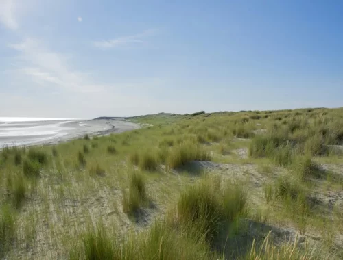 Duinen en strand bij Burgh-Haamstede in Zeeland