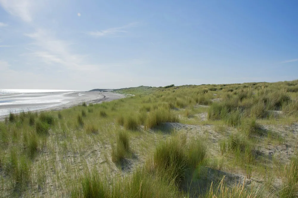 Duinen en strand bij Burgh-Haamstede in Zeeland